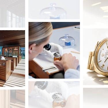 rolex sustainability|rolex sustainability report.